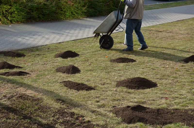 Lawn Leveling